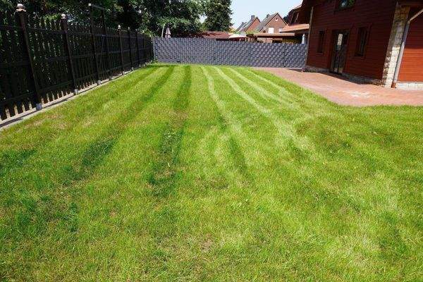 West Terrasse und Garten