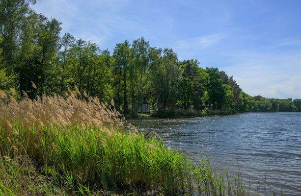Natur Campingplatz - Badestrand