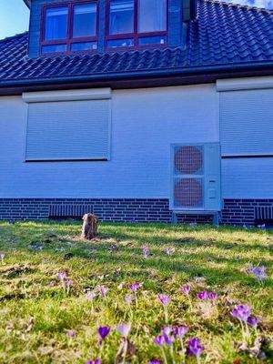 Haus Strassenansicht