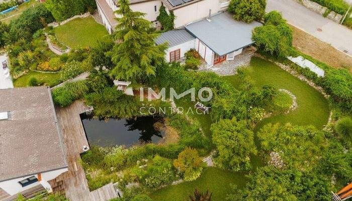 Garten hinter dem Haus_2_Vogelperspektive