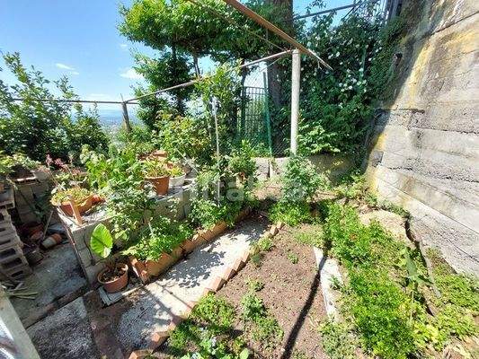 20240510_143933 (Kopie).jpg