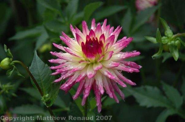 Bild 17