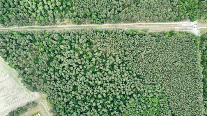 Drohnenbild auf den Bestand