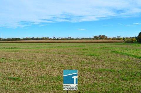 Oberdolling Grundstücke, Oberdolling Grundstück kaufen