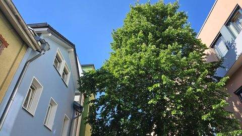 Andernach Häuser, Andernach Haus kaufen