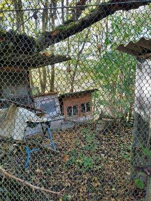 Hühner und Hasenställe