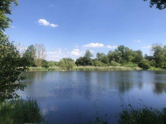 Blick auf den Mühlenteich