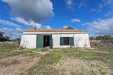 Maó / Sant Climent Häuser, Maó / Sant Climent Haus kaufen