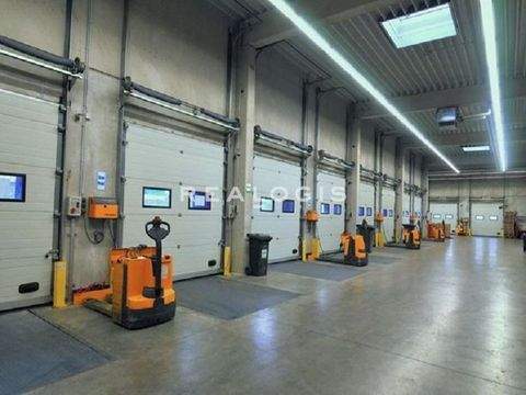 Langenfeld Halle, Langenfeld Hallenfläche