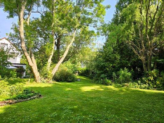 Ein Traum von Grundstück