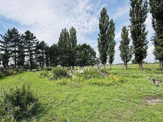 Landwirtschaftliche Fläche