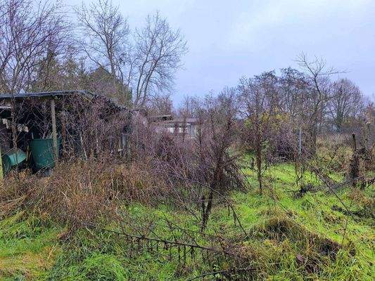 Garten - vorderer Teil