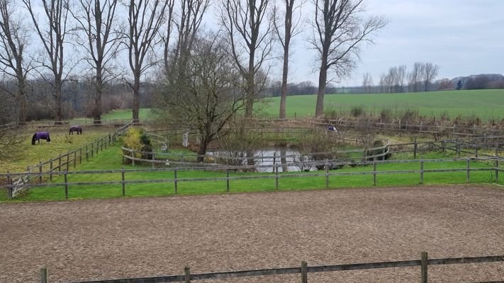 Teich, Reitplatz, Wiese