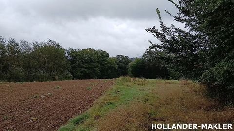 Pommern Bauernhöfe, Landwirtschaft, Pommern Forstwirtschaft