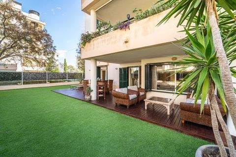 PALMA Wohnungen, PALMA Wohnung mieten