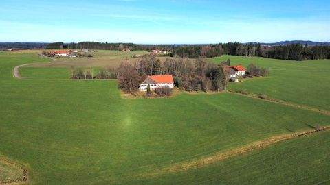 Leutkirch Häuser, Leutkirch Haus kaufen