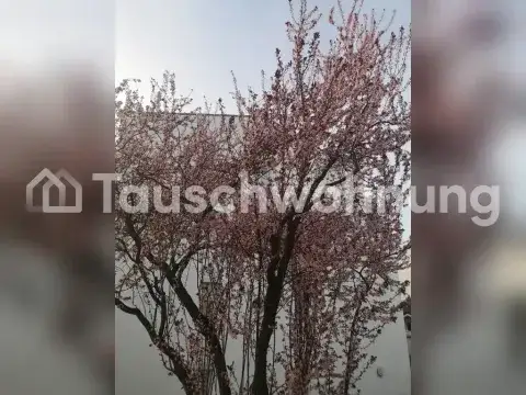 Freiburg im Breisgau Wohnungen, Freiburg im Breisgau Wohnung mieten