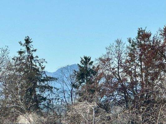 Ausblick vom Balkon nach Süden