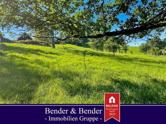 www.bender-immobilien.de