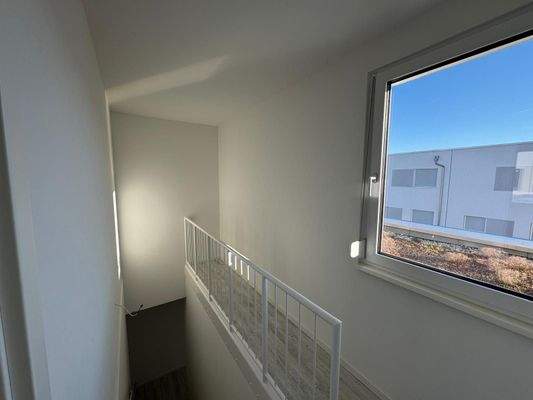 Blick auf das Dach 2. OG