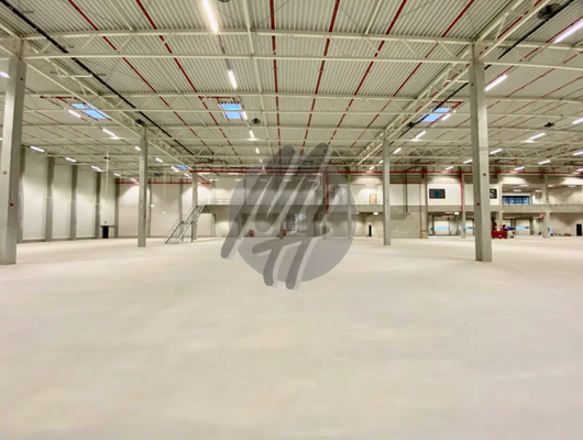 INFOS UNTER: 06171-586000