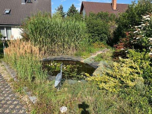 Bild 7 Gartenteich