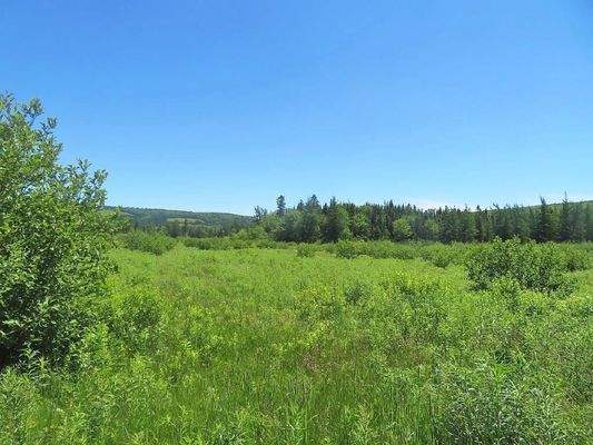 Nova Scotia - 25 Hektar großes Areal mit ehemalige