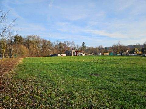 Dörentrup Grundstücke, Dörentrup Grundstück kaufen