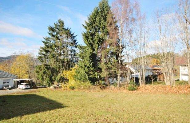 Blick auf das Grundstück