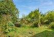 Garten 2