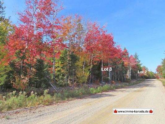 Nova Scotia - West Side Country Harbour - Preiswer