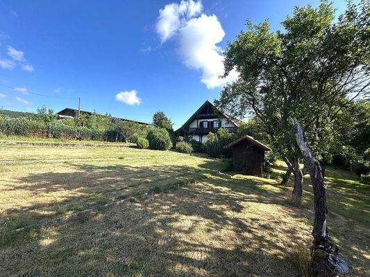 Garten hinter dem Haus 