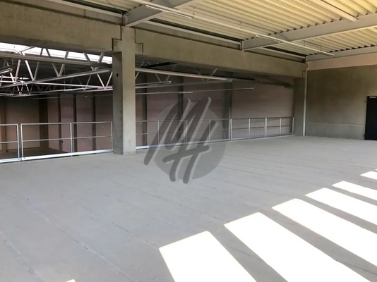 INFOS UNTER: 06171-586000