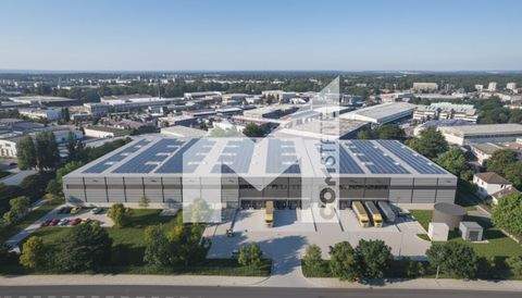 Düsseldorf Halle, Düsseldorf Hallenfläche