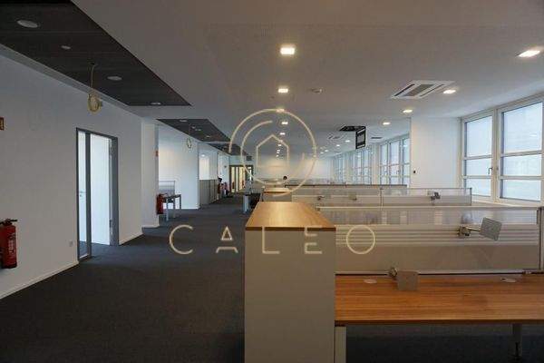 Innenansicht - Büroraum 4