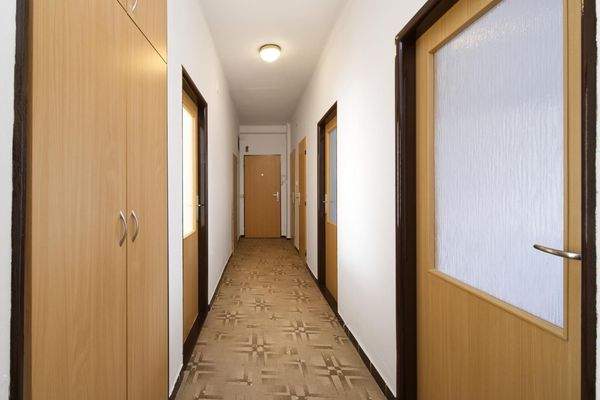 1737379098_AJcXTb2PYq