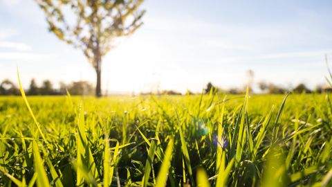 Großröhrsdorf Grundstücke, Großröhrsdorf Grundstück kaufen