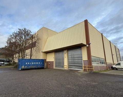 Süßen Halle, Süßen Hallenfläche