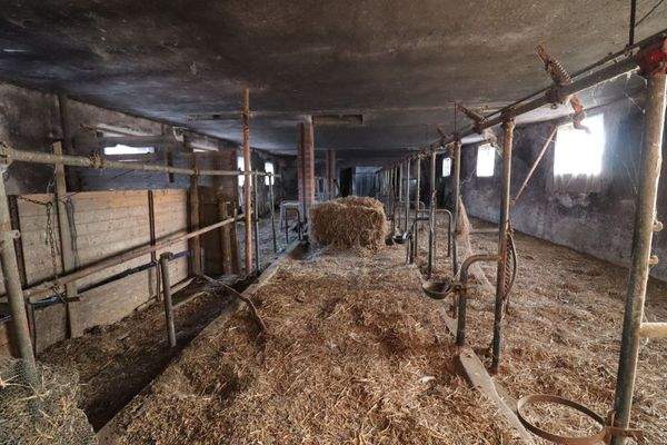 Stall - ideal für Tiere und Hobby