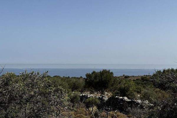 Kreta, Kokkino Chorio: Atemberaubendes 10.000 m² großes Grundstück mit Meerblick in Kokkino Chorio