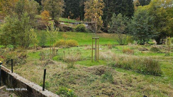 38 Ausblick vom Garten