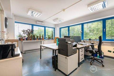 Neunkirchen-Seelscheid Halle, Neunkirchen-Seelscheid Hallenfläche