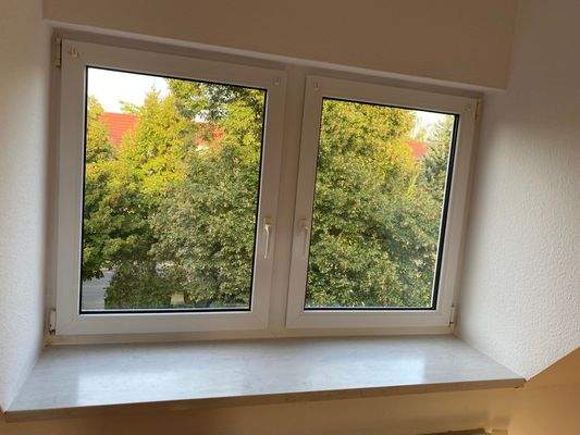 Blick aus Fenster.jpg