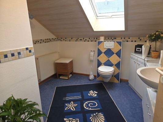 Badezimmer mit Dusche DG.jpg