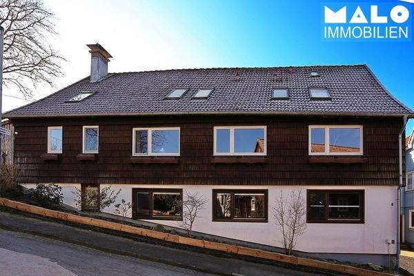 7021 - 0002 -Hinteransicht 