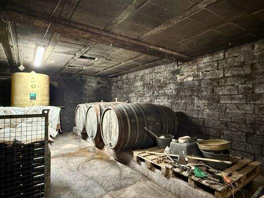 Foto 21.10.25, 14 51 00