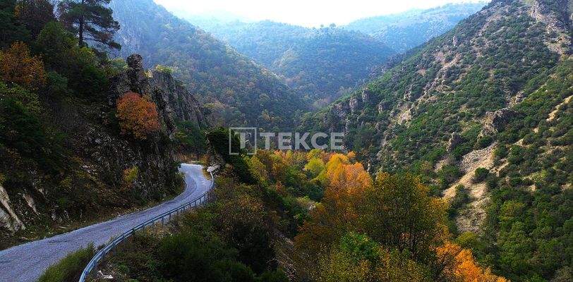 Detached Duplex Villas with Gardens in Bursa