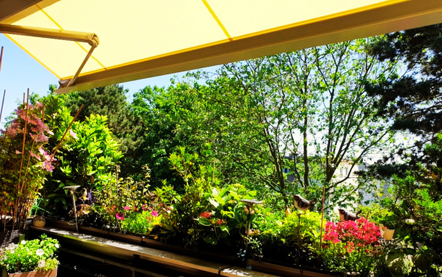 Blick Balkon im Sommer