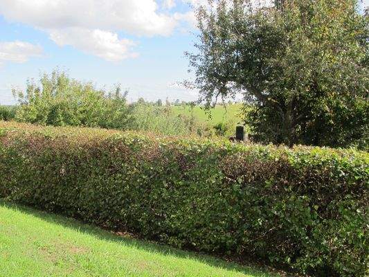 Grundstück mit Fernblick - Parken vor der Türe ...