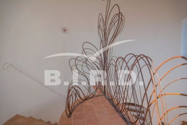 Bild 15